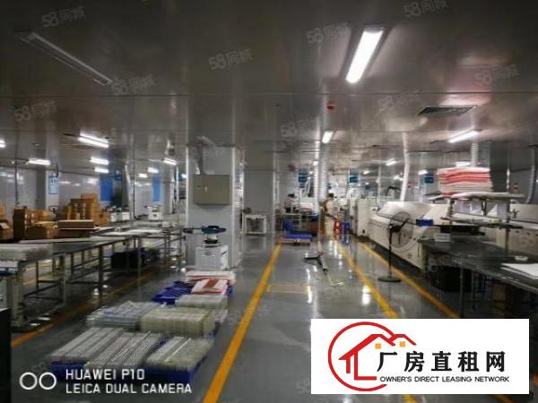  长安镇沙头新出10万级标准无尘车间3500平方火爆招租
