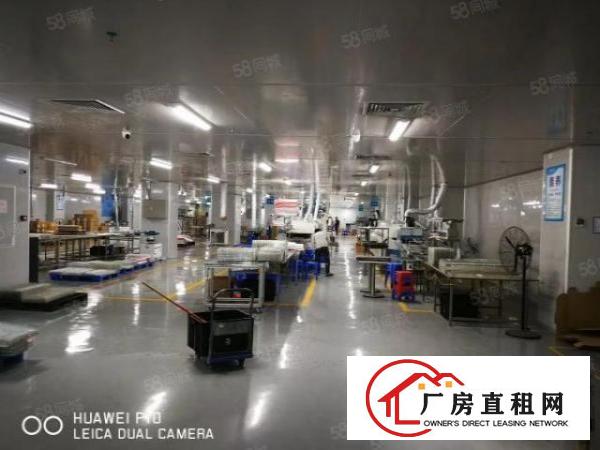  长安镇沙头新出10万级标准无尘车间3500平方火爆招租