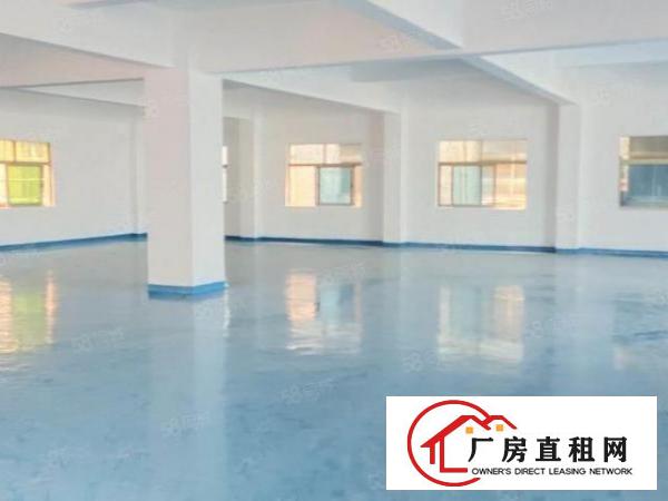  长安上沙新出楼上原房东豪华装修650平方厂房出租