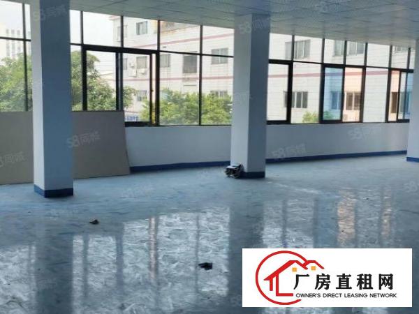  长安上沙新出楼上原房东豪华装修650平方厂房出租