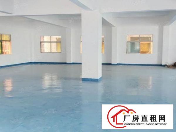  长安上沙新出楼上原房东豪华装修650平方厂房出租