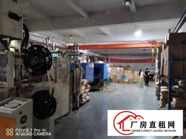  长安街口新岗路新空出一楼1200平带航车精装修办公室厂房出租