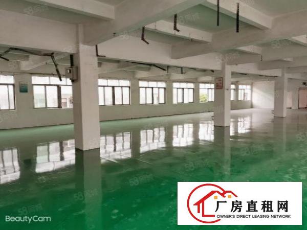  独院原房东双层2800平米，全新厂房，形象环境好，独门独院