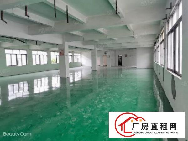  独院原房东双层2800平米，全新厂房，形象环境好，独门独院