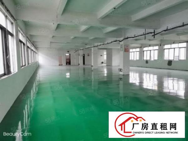  独院原房东双层2800平米，全新厂房，形象环境好，独门独院