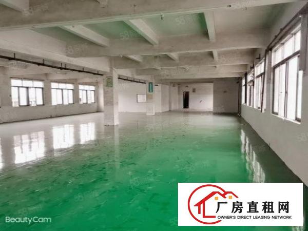  独院原房东双层2800平米，全新厂房，形象环境好，独门独院