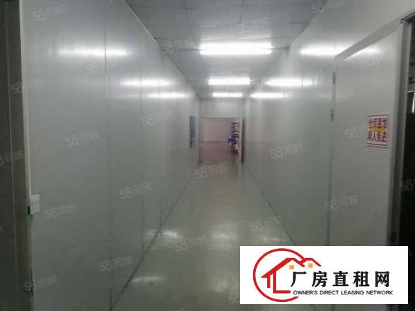  长安新出1000平带装修厂房出租