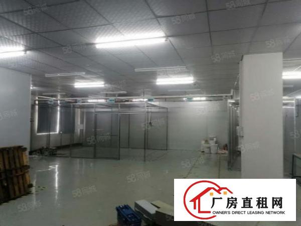  长安新出1000平带装修厂房出租