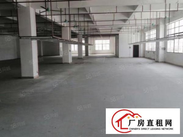  沙头建安路旁楼上1300平厂房，带装修