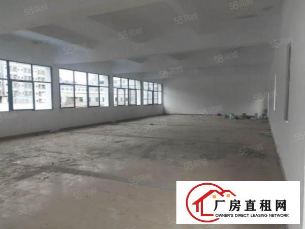  长安空出标准独院2层5000平厂房出租可分带地坪漆全新装修