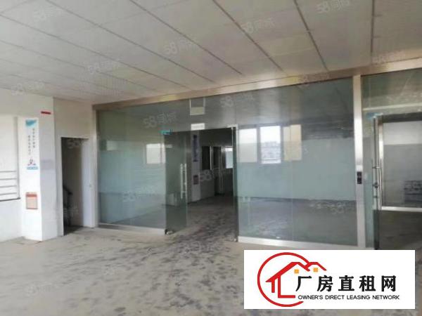  长安空出标准独院2层5000平厂房出租可分带地坪漆全新装修