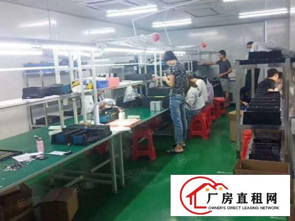  长安新出无尘车间460平厂房出租园区形象好停车位充足交通方便