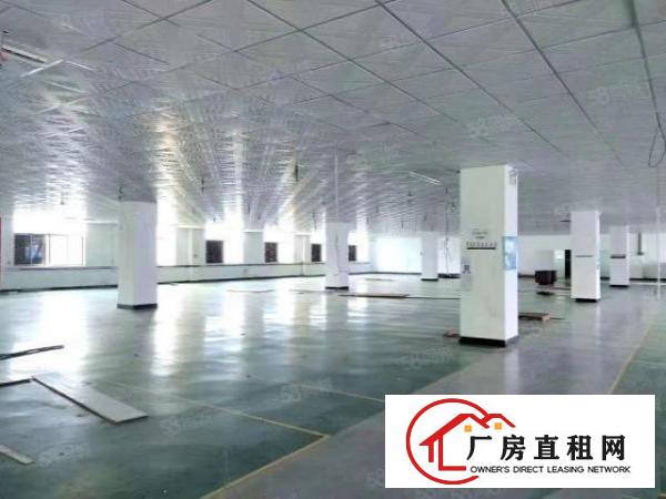  刚空出楼上1500平方精装修厂房乌沙社区原房东独院厂房出租