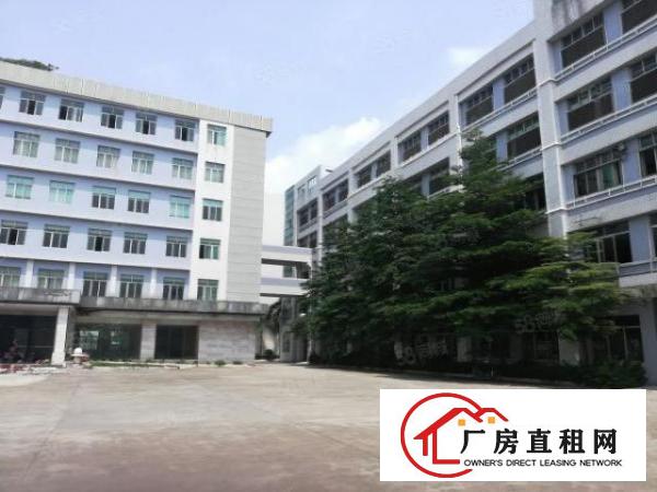  长安厦边新出一楼4900平整层重工业厂房出租分租仓库出租