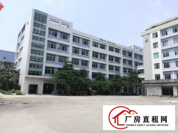  长安厦边新出一楼4900平整层重工业厂房出租分租仓库出租