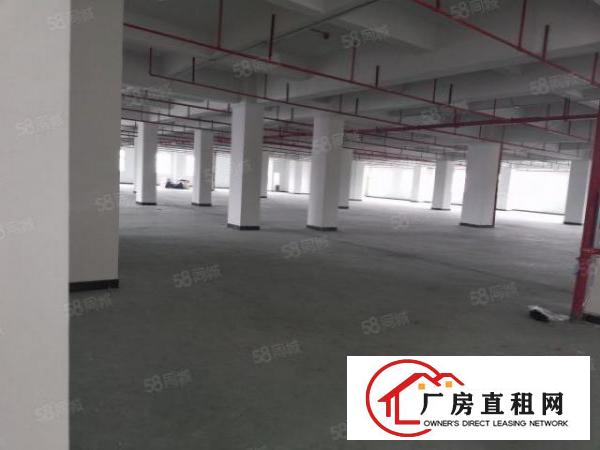  长安厦边新出一楼4900平整层重工业厂房出租分租仓库出租