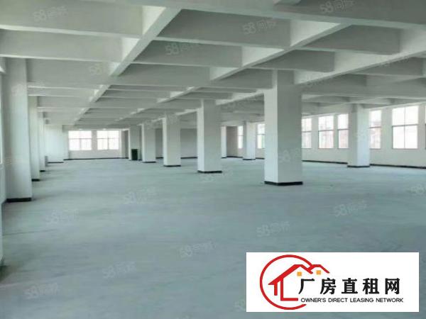  长安乌沙新出原房东独栋厂房4层，每层2000平方，电费便宜