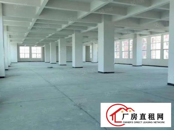  长安乌沙新出原房东独栋厂房4层，每层2000平方，电费便宜