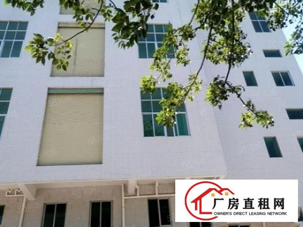  长安厂房出租乌沙新出独院5600，全新厂房。