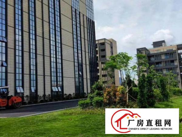  上沙原房东带红本厂房9层每层4950平厂房出租可整租也可租