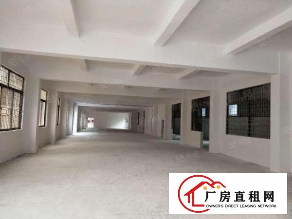 厂房招租东沙头新出原房东独院小厂房三层2700平，交通发达便