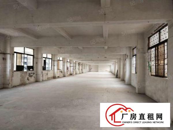  厂房招租东沙头新出原房东独院小厂房三层2700平，交通发达便