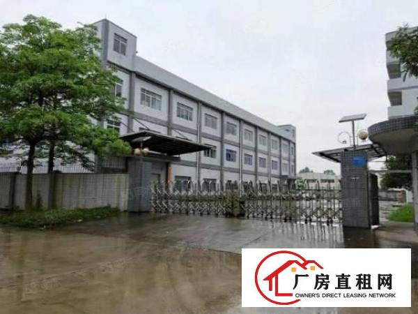  形象好位置好长安镇出租一楼1000平可做注塑等重工业可分