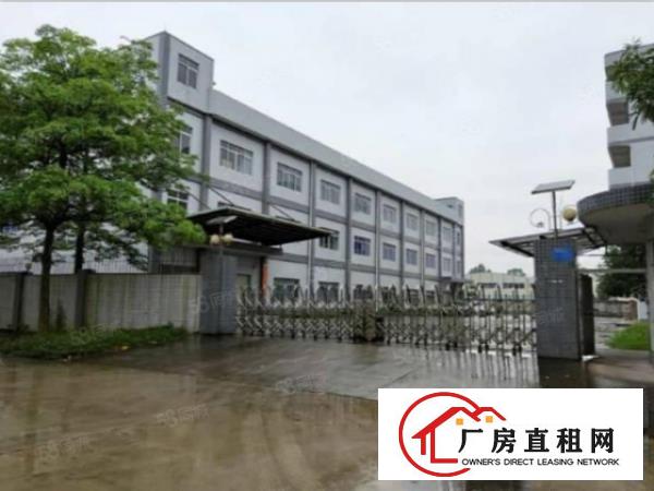  形象好位置好长安镇出租一楼1000平可做注塑等重工业可分