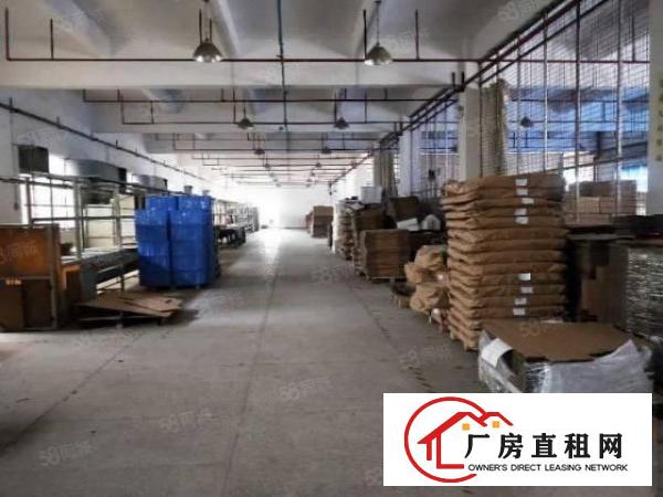  形象好位置好长安镇出租一楼1000平可做注塑等重工业可分