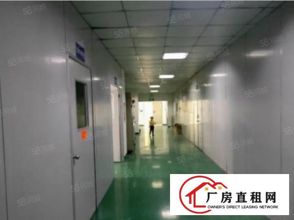  长安镇乌沙工业园出租楼上600平厂房有办公室可分租