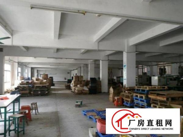  龙眼工业区1100平方独院厂房出租标准空地大停车位足