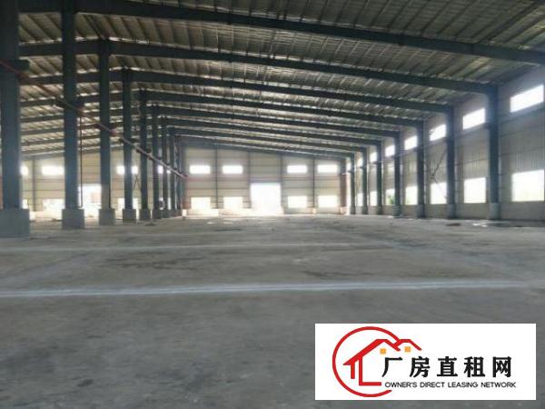  金洲工业区单一层厂房出租，滴水9米，证件齐备可办环评