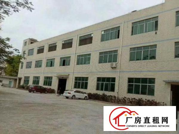  树田工业区无公摊办公室原房东独院标准厂房招租600平方