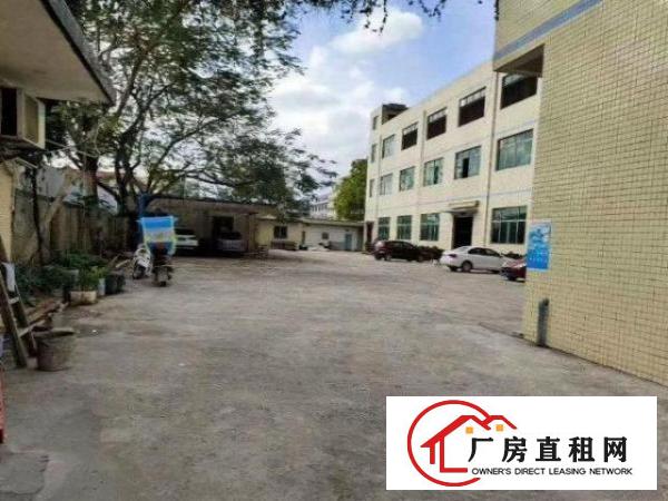  树田工业区无公摊办公室原房东独院标准厂房招租600平方