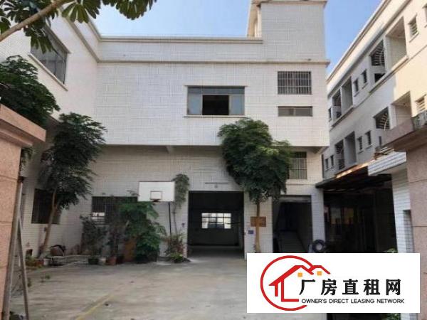  小捷滘工业区红本厂房出租1600水电现成环评包过