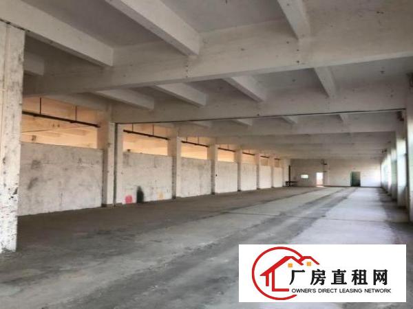  博涌独院标准电梯厂房可分租1000平方