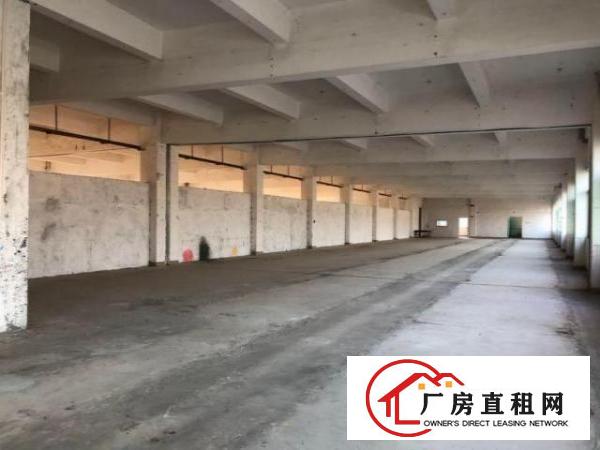  博涌独院标准电梯厂房可分租1000平方