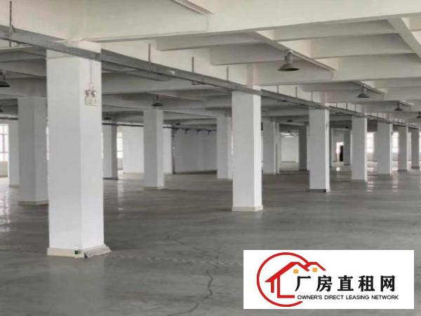  博涌独院标准电梯厂房可分租1000平方