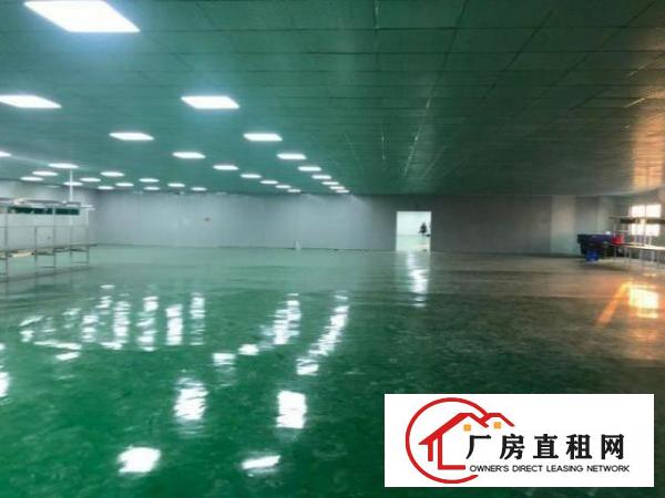  宴岗工业区独院厂房出租8000平米八成新可分租100平方