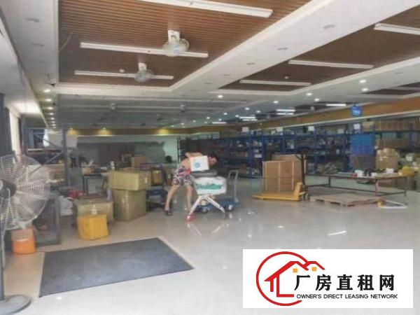  小捷滘工业区一楼600平实际面积招租豪华装修水电办公室齐全
