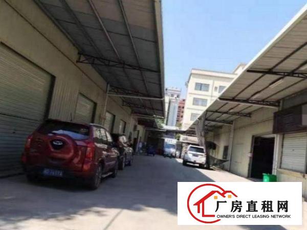  小捷滘工业区一楼600平实际面积招租豪华装修水电办公室齐全