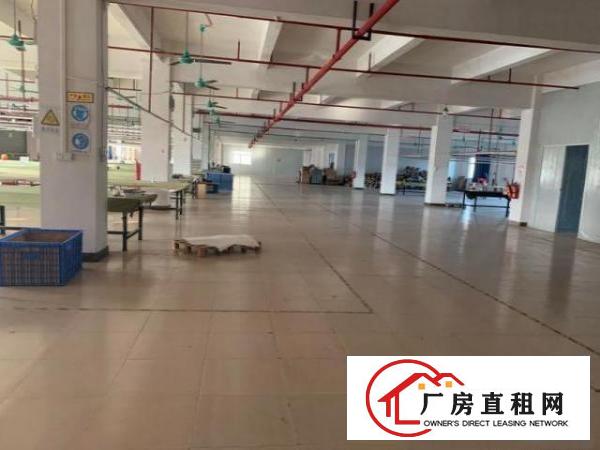  白沙无公摊独院分租1楼1800平方6米高精装