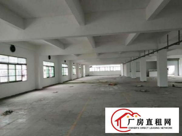  北栅原房东独门独院厂房，2楼整层1200平方
