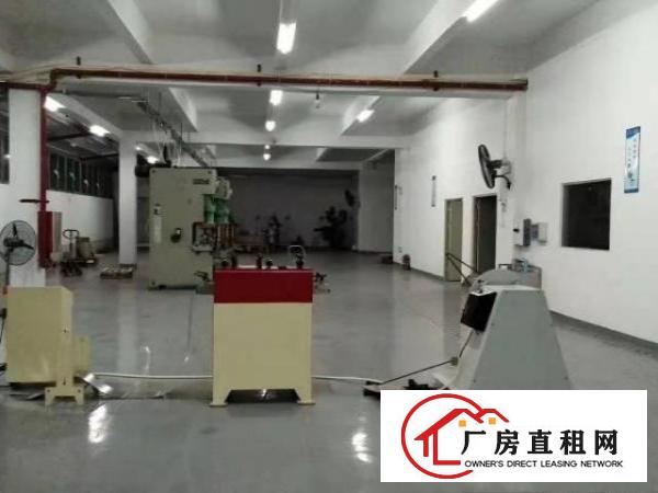  出租虎门镇北栅320平方厂房，现在装修，价格便宜