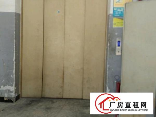  虎门高端大气原房东厂房招租