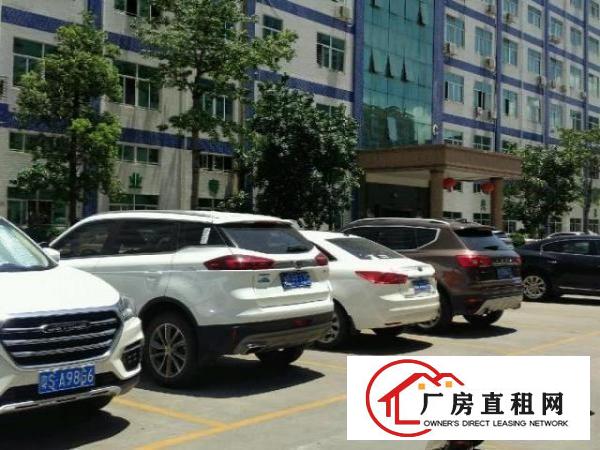  虎门高端大气原房东厂房招租