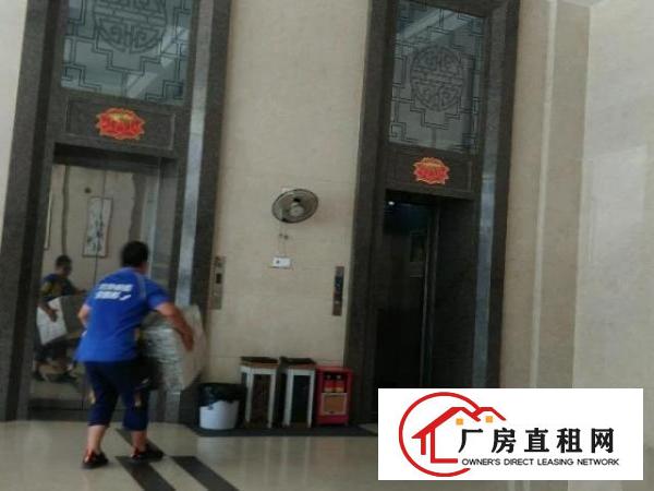  虎门高端大气原房东厂房招租