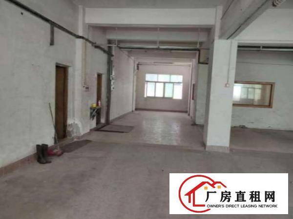  出租虎门镇北栅龙眼社区1路40号2楼厂房