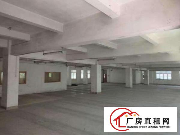  出租虎门镇北栅龙眼社区1路40号2楼厂房
