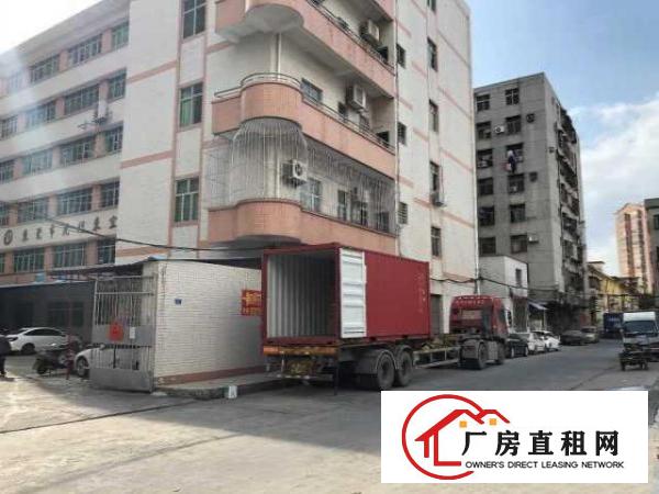  厂房，全新装修虎门金洲海运轩对面600平方厂房招租